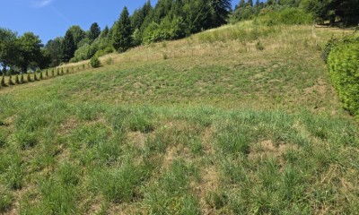 Stavbno in kmetijsko zemljišče, Šentjanž pri Dravogradu